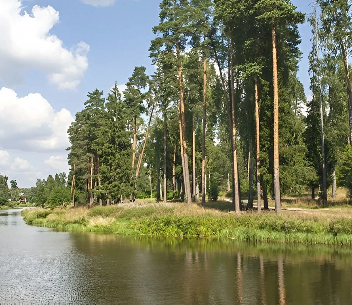 Bosque de Navios&nbsp;1