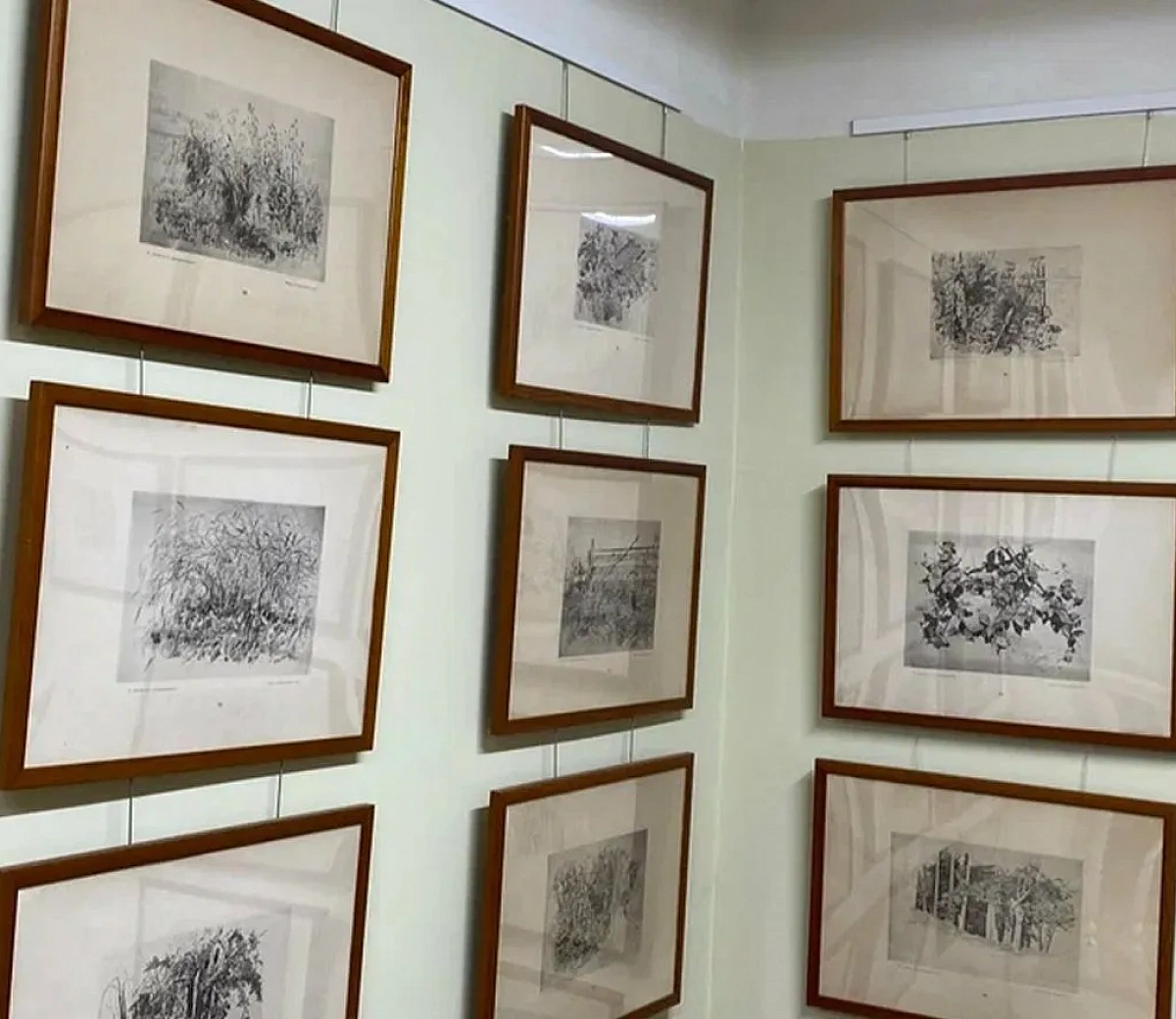 Casa-Museu de I.I. Shishkin&nbsp;5