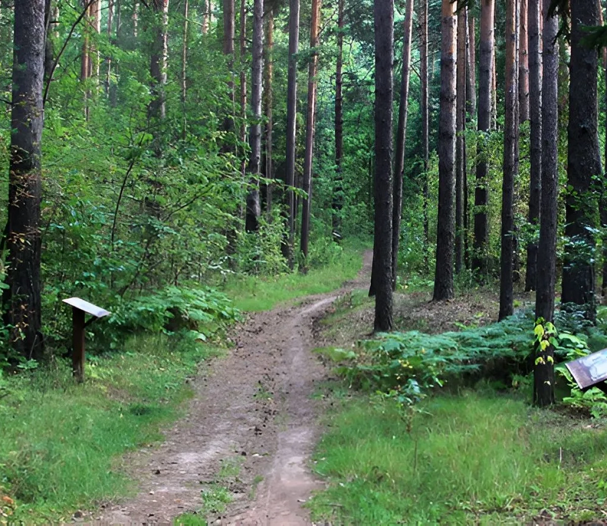 Bosque de Navios&nbsp;4