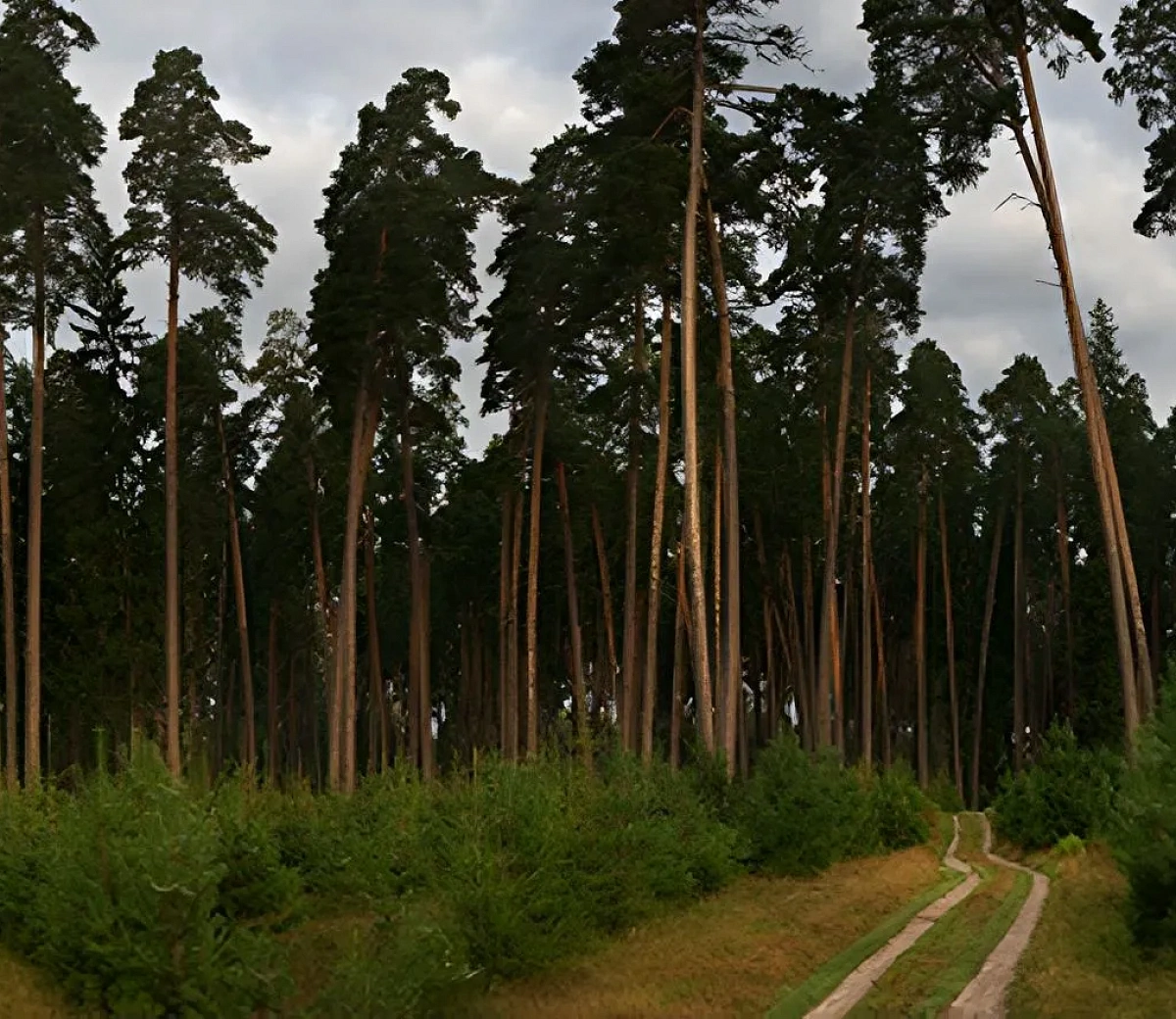 Bosque de Navios&nbsp;3